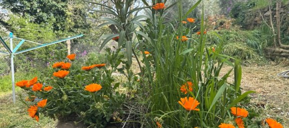 Casa T1 em Markisch-Oderland, Germany N.º 283789 13