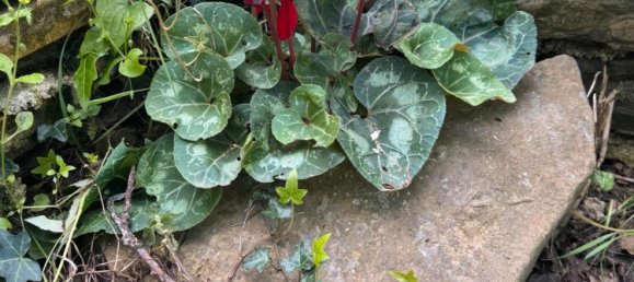 Casa T1 em Markisch-Oderland, Germany N.º 283789 14