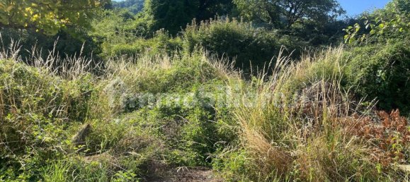 Дом с 4 спальнями в Майссана, Италия № 269258 4