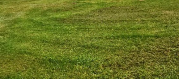 3 bedrooms House in Uckermark, Germany No. 292597 12