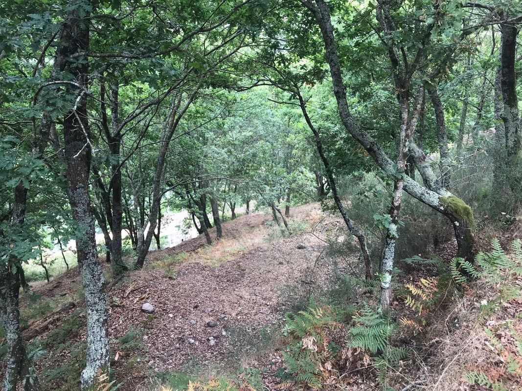 Дом с 3 спальнями в Аркуш ди Валдевеш, Португалия № 17482