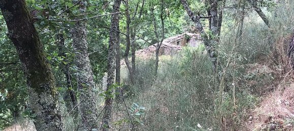 Дом с 3 спальнями в Аркуш ди Валдевеш, Португалия № 17482 15