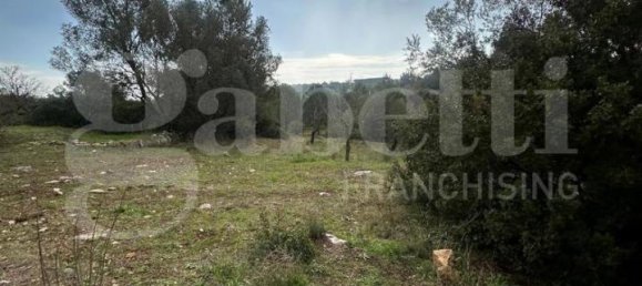 Villa de 5 habitaciónes en Ostuni, Italy No. 31913 34