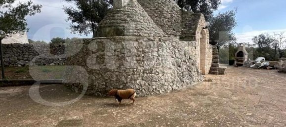 Villa de 5 habitaciónes en Ostuni, Italy No. 31913 11