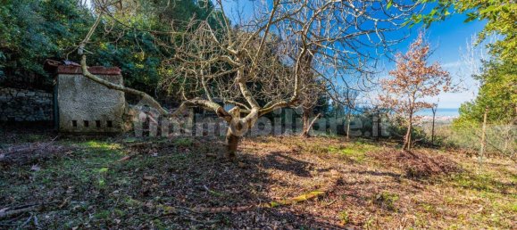 6 bedrooms Villa in Livorno, Italy No. 164001 39