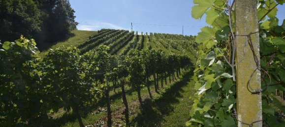 120m² Land in Furstenfeld, Austria No. 203377 21