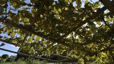 120m² Land in Furstenfeld, Austria No. 203377