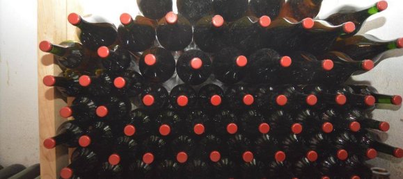 120m² Land in Furstenfeld, Austria No. 203377 3