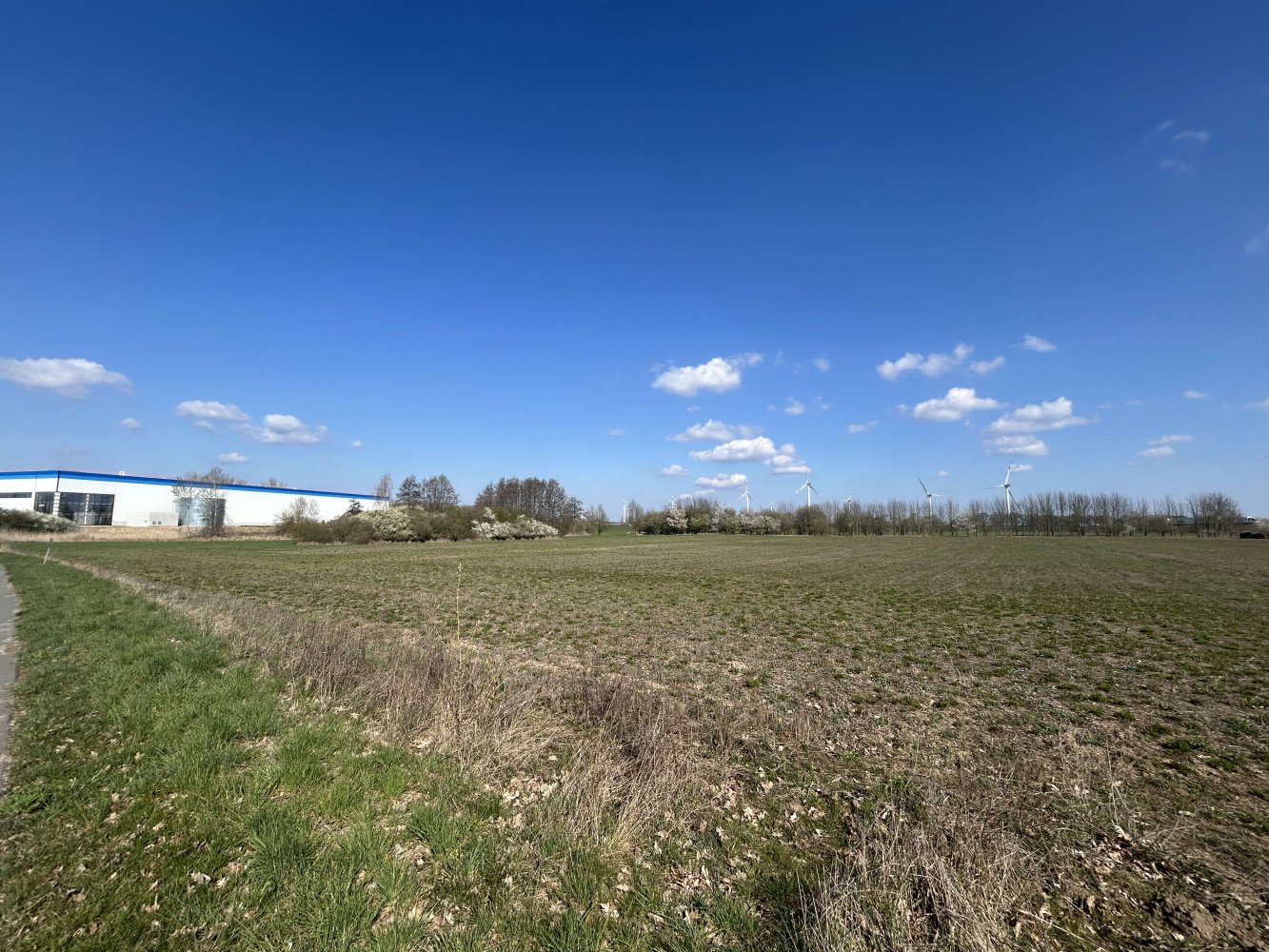 32856m² Land in Ostprignitz-Ruppin, Germany No. 365051