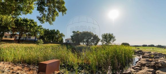 5 bedrooms House in Estremoz, Portugal No. 51217 6