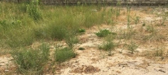  قطعة أرض في Absheron, Azerbaijan 1200متر مربع رقم 24 10