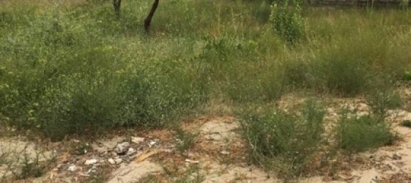  قطعة أرض في Absheron, Azerbaijan 1200متر مربع رقم 24 4