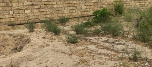  قطعة أرض في Absheron, Azerbaijan 1200متر مربع رقم 24 7