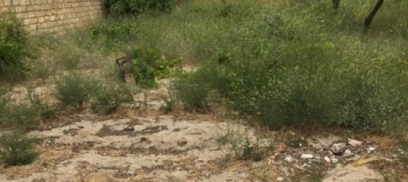  قطعة أرض في Absheron, Azerbaijan 1200متر مربع رقم 24 9