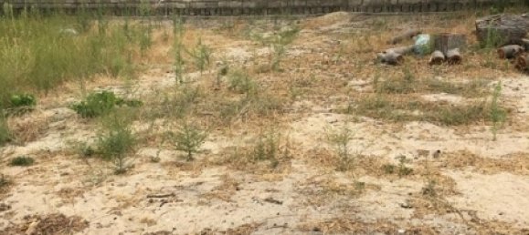  قطعة أرض في Absheron, Azerbaijan 1200متر مربع رقم 24 2