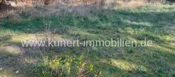 Земельный участок в Галле, Германия № 155881 6