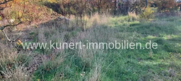 Земельный участок в Галле, Германия № 155881 4