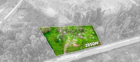 Grundstück in Rio Meao, Portugal 2804m², Nr. 283346 16