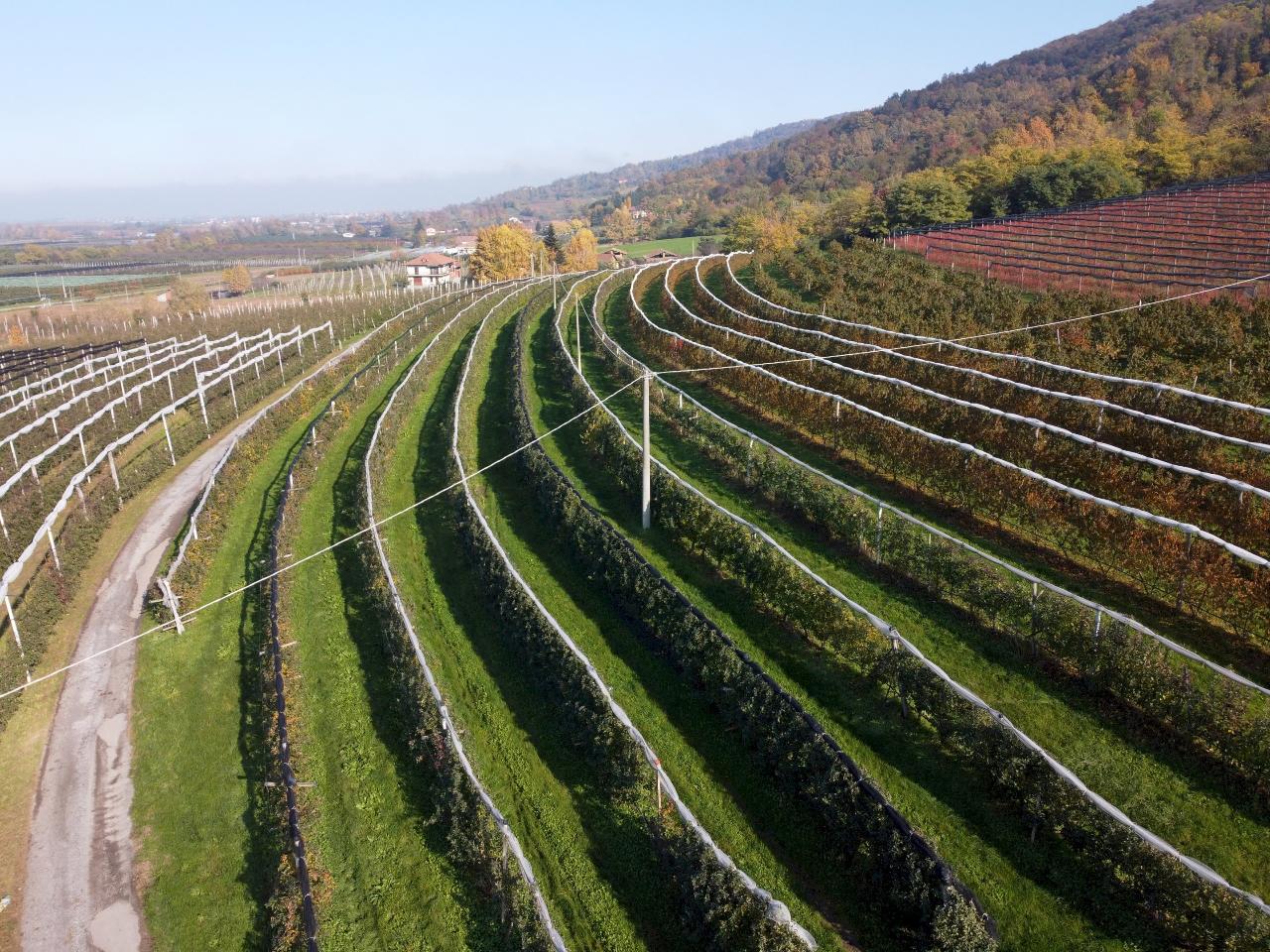 1 room Land in Saluzzo, Italy No. 150240