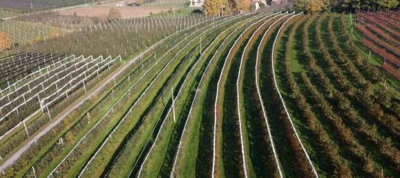 1 room Land in Saluzzo, Italy No. 150240 9