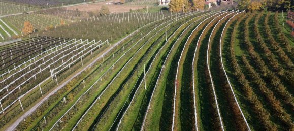 1 room Land in Saluzzo, Italy No. 150240 8