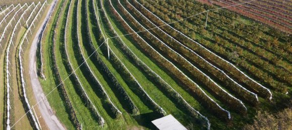 1 room Land in Saluzzo, Italy No. 150240 7