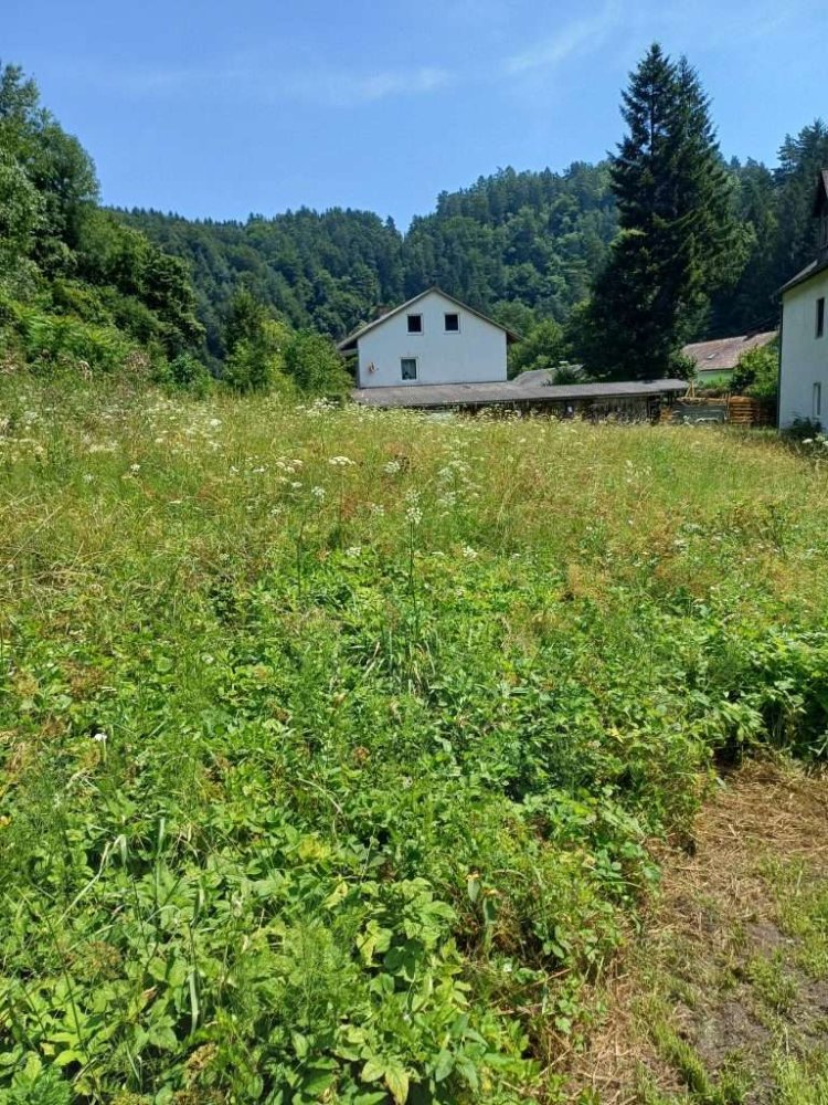  Land in Voitsberg, Austria No. 15928