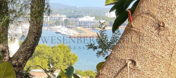 5 غرف نوم منزل في Santa Eulalia Del Rio, Spain رقم 154822 3