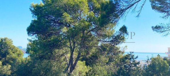 5 غرف نوم منزل في Santa Eulalia Del Rio, Spain رقم 154822 4