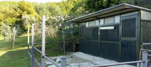 8 rooms House in Vicchio, Italy No. 232741 16