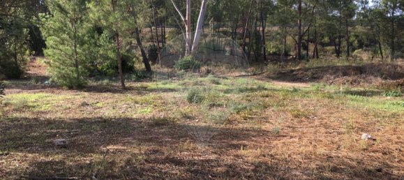 385m² Land in Abrantes, Portugal No. 62224 3