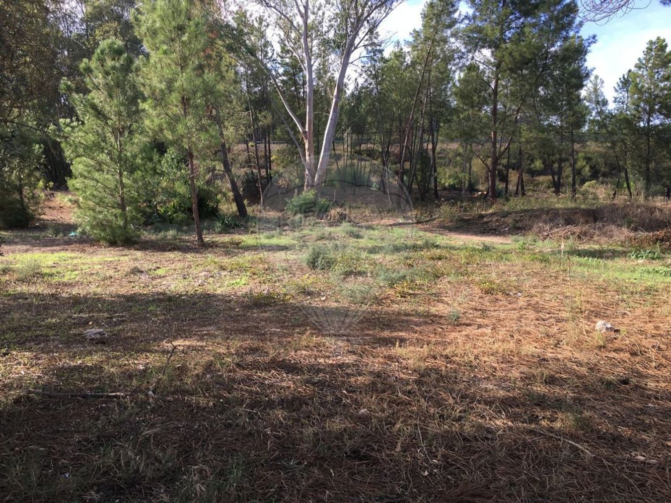 385m² Land in Abrantes, Portugal No. 62224