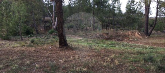 385m² Land in Abrantes, Portugal No. 62224 2