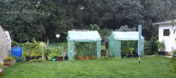 10-Zimmer Stadthaus in Neuwied, Germany, Nr. 154187 26