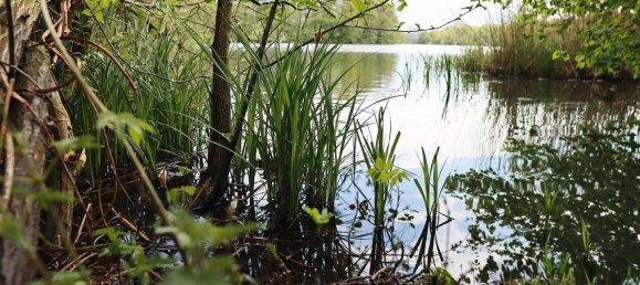 3-salle Appartement à Schwerin, Germany No. 330352 17