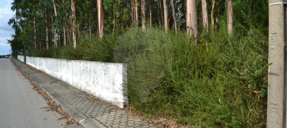 Grundstück in Ovar, Portugal 3850m², Nr. 89556 3