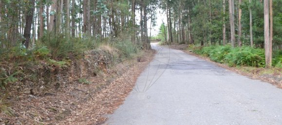 Grundstück in Ovar, Portugal 3850m², Nr. 89556 5