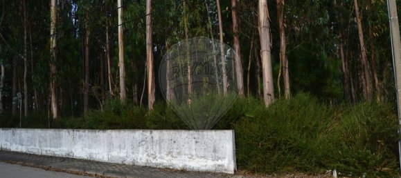 Grundstück in Ovar, Portugal 3850m², Nr. 89556 4