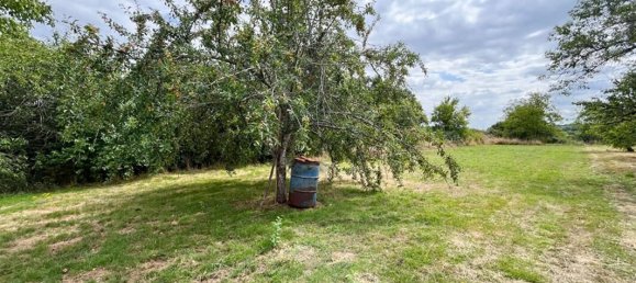 3 bedrooms House in Vicq-sur-Nahon, France No. 287141 13