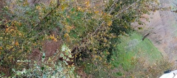 Дом с 4 комнатами в Терре Ровереше, Италия № 113343 4