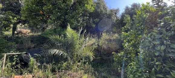 5 bedrooms House in Abrantes, Portugal No. 142580 22