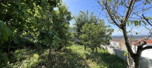 5 bedrooms House in Abrantes, Portugal No. 142580 23