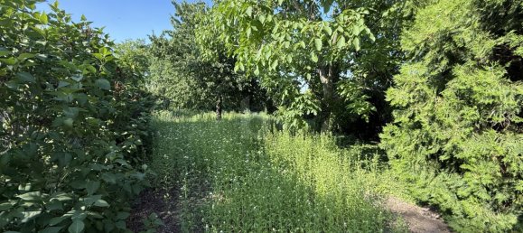 Terreno en Morbisch am See, Austria 834 m² No. 245128 3