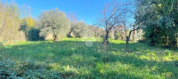 6 Schlafzimmer Haus in Velletri, Italy, Nr. 209382 7