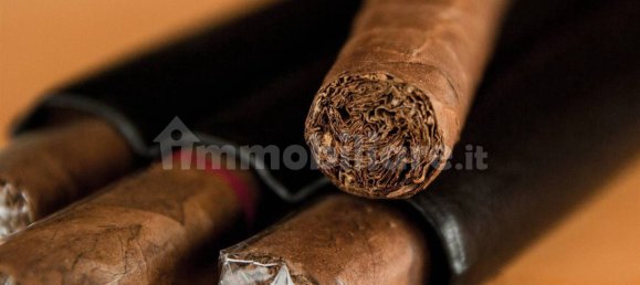 2 rooms Commercial property in Florence, Italy No. 48768 5