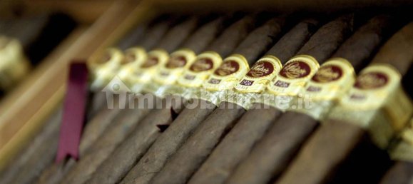 2 rooms Commercial property in Florence, Italy No. 48768 4