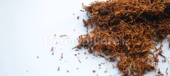 2 rooms Commercial property in Florence, Italy No. 48768 14