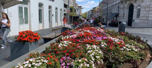 3 Schlafzimmer Doppelhaus in Sintra, Portugal, Nr. 354924 2