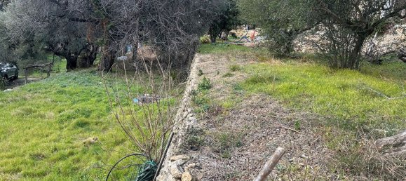 Terreno em Ollioules, France 500 m² N.º 113507 6