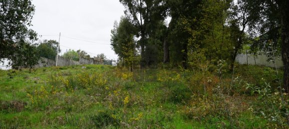 Terreno em Macieira de Cambra, Portugal N.º 167952 11